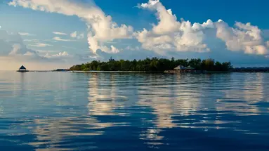 Coco Bodu Hithi