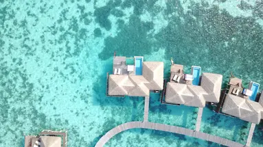 COCO BODU HITHI