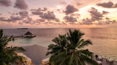COCO BODU HITHI