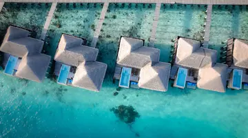 COCO BODU HITHI