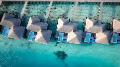 COCO BODU HITHI