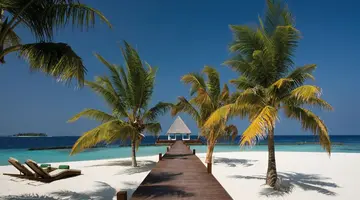 COCO BODU HITHI