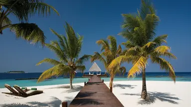 COCO BODU HITHI
