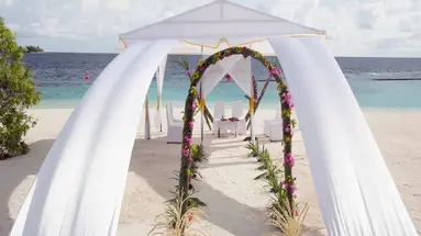 COCO BODU HITHI