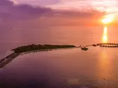 COCO BODU HITHI
