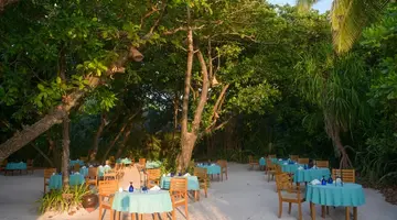 COCO PALM DHUNI KOLHU