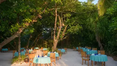 COCO PALM DHUNI KOLHU