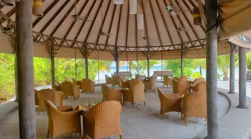 COCO PALM DHUNI KOLHU