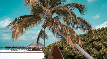 Coco Palm Dhuni Kolhu