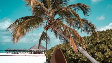 Coco Palm Dhuni Kolhu