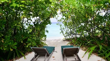COCO PALM DHUNI KOLHU