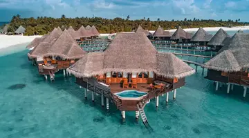 COCO PALM DHUNI KOLHU