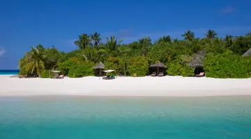 COCO PALM DHUNI KOLHU