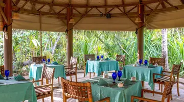COCO PALM DHUNI KOLHU