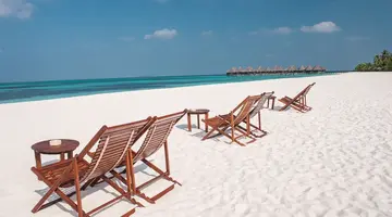 COCO PALM DHUNI KOLHU
