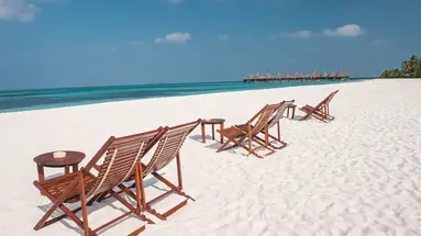 COCO PALM DHUNI KOLHU
