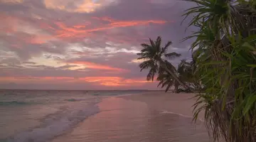 Coco Palm Dhuni Kolhu