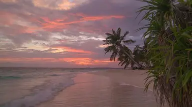 Coco Palm Dhuni Kolhu