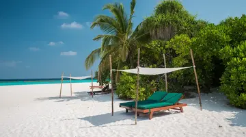 COCO PALM DHUNI KOLHU