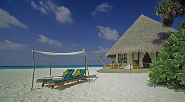 COCO PALM DHUNI KOLHU