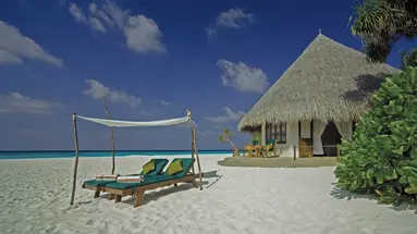 COCO PALM DHUNI KOLHU