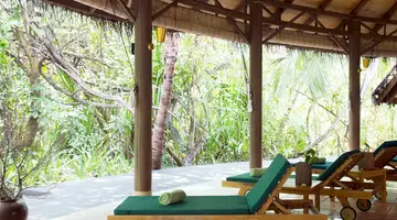 COCO PALM DHUNI KOLHU
