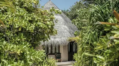 Coco Palm Dhuni Kolhu