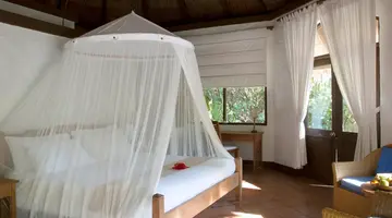 COCO PALM DHUNI KOLHU