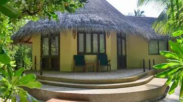 COCO PALM DHUNI KOLHU