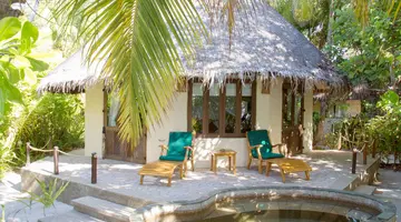 COCO PALM DHUNI KOLHU