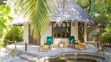 COCO PALM DHUNI KOLHU