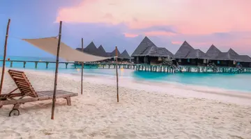 COCO PALM DHUNI KOLHU