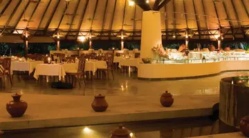 COCO PALM DHUNI KOLHU