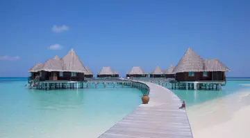 COCO PALM DHUNI KOLHU