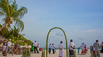 COCO PALM DHUNI KOLHU