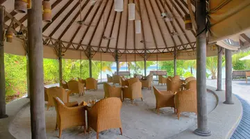 COCO PALM DHUNI KOLHU