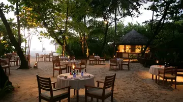 COCO PALM DHUNI KOLHU