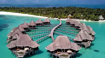 COCO PALM DHUNI KOLHU