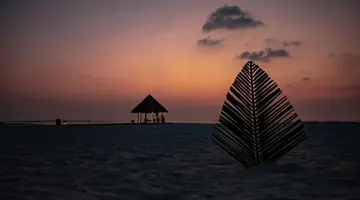 Coco Palm Dhuni Kolhu