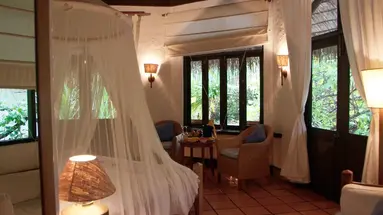 COCO PALM DHUNI KOLHU