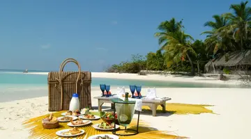 COCO PALM DHUNI KOLHU