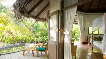 COCO PALM DHUNI KOLHU