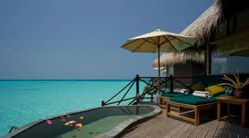 COCO PALM DHUNI KOLHU