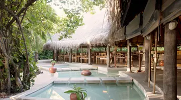 COCO PALM DHUNI KOLHU
