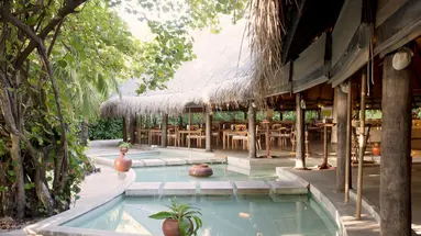 COCO PALM DHUNI KOLHU