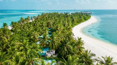 COCOON MALDIVES