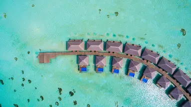 COCOON MALDIVES