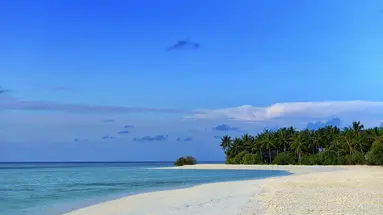 Cocoon Maldives