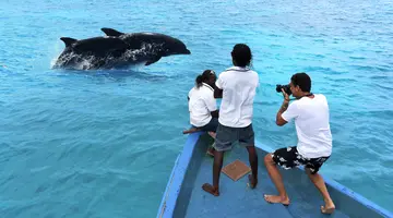 COCOON MALDIVES