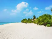 Cocoon Maldives